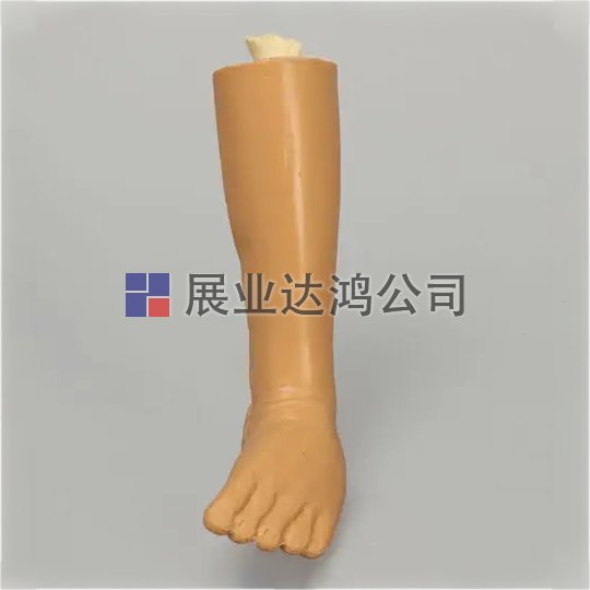 SAWBONES 兒科腳部解剖模型1518-12-1